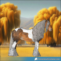 Horse Color:Silver Buckskin Tobiano 