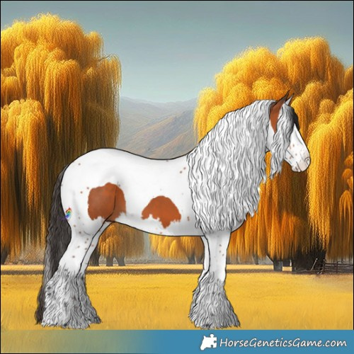 Horse Color:Bay Splash Tobiano 