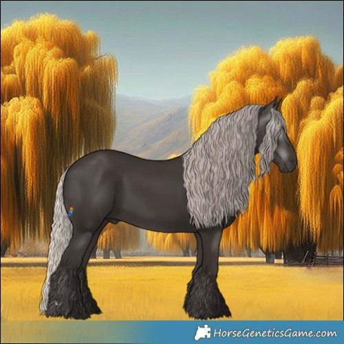 Horse Color:Gray Silver Black 