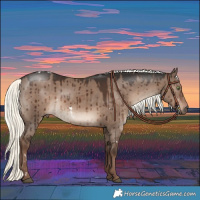 Horse Color:White Spotted Liver Red Dun Mushroom Rabicano Brindle