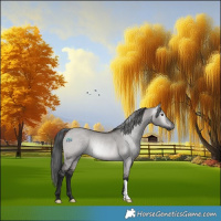 Horse Color:Gray Platinum Bay Dun Rabicano 