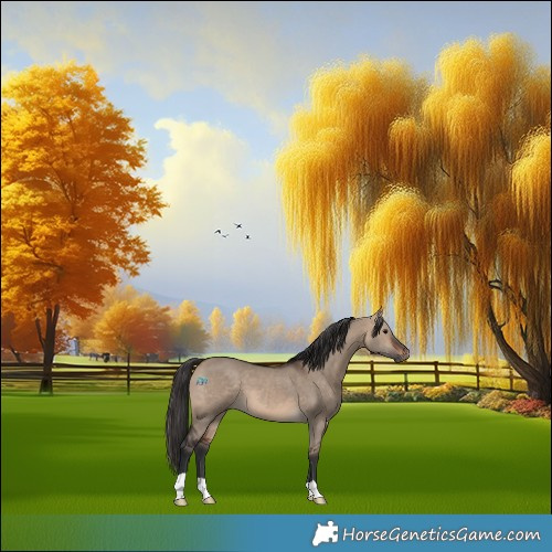 Horse Color:Brown Dun 