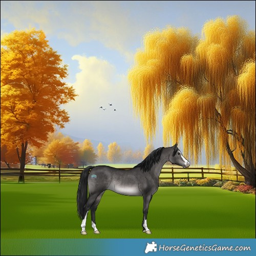 Horse Color:Gray Platinum Brown Dun Sabino Rabicano 