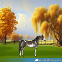 Horse Color:Gray Brown Dun Sabino Snowflake Varnish 