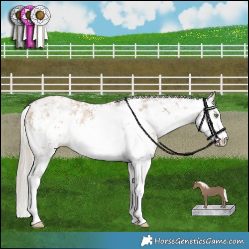 Horse Color:White Spotted Liver Red Dun Pearl Mushroom Sabino 
