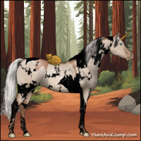 Horse Color:Void White Spotted Silver Grullo Pearl Tobiano 