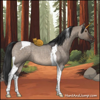 Horse Color:Brown Roan Dun Tobiano