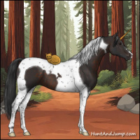 Horse Color:Brown Tobiano 