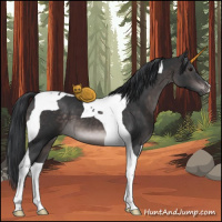 Horse Color:Platinum Brown Tobiano 