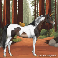 Horse Color:Brown Tobiano 