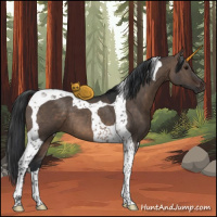 Horse Color:Brown Dun Tobiano