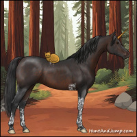 Horse Color:Brown Tobiano