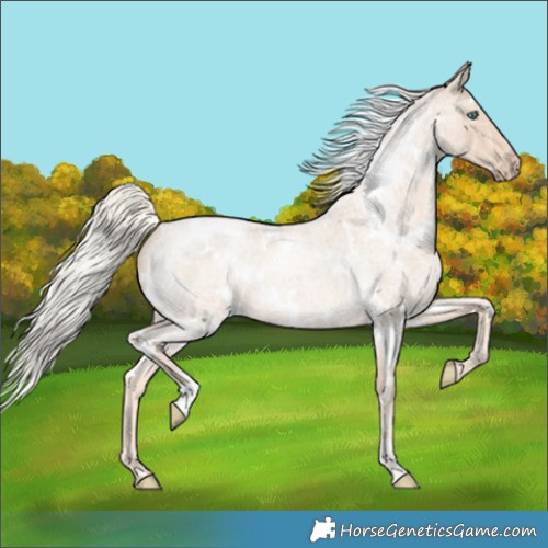Horse Color:White Spotted Cremello Roan Mushroom 