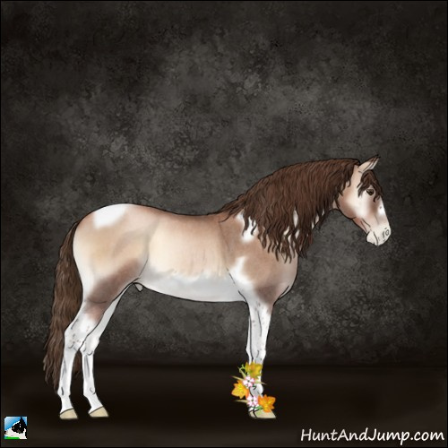 Horse Color:Liver Red Onyx Roan Pearl Tobiano Frame 