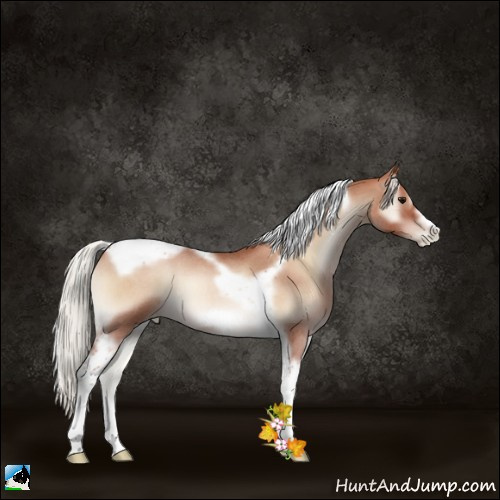 Horse Color:Silver Blue Onyx Roan Pearl Tobiano Frame 