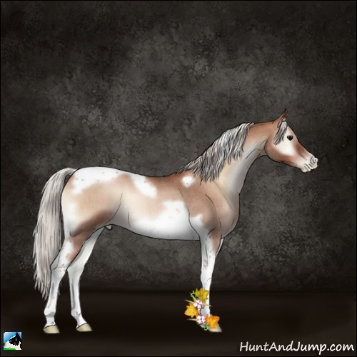 Horse Color:Silver Blue Onyx Roan Pearl Tobiano Frame 