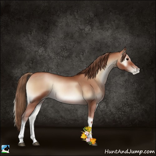 Horse Color:Blue Onyx Pearl Tobiano 