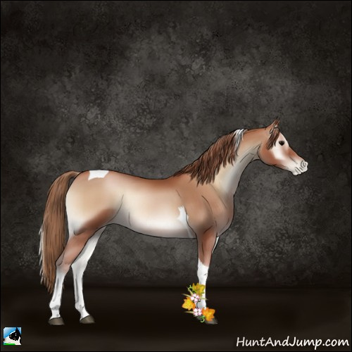 Horse Color:Blue Onyx Pearl Tobiano 