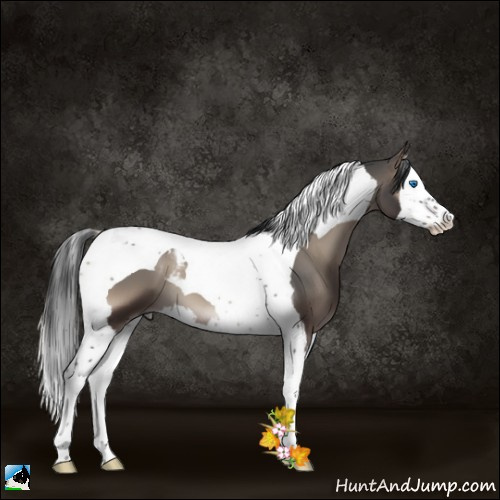 Horse Color:Blue Onyx Splash Tobiano 