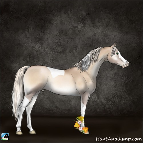 Horse Color:Chocolate Palomino Pearl Onyx Splash Tobiano 