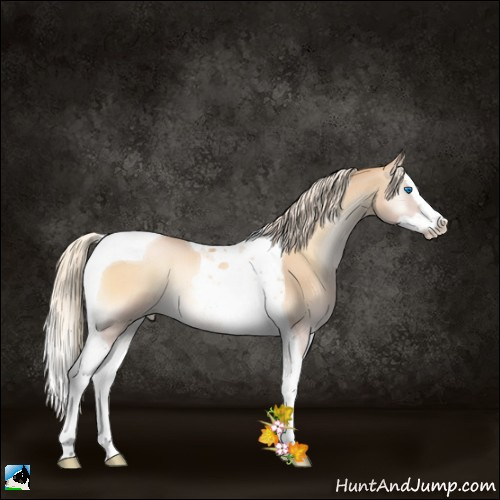 Horse Color:Palomino Pearl Onyx Splash Tobiano 