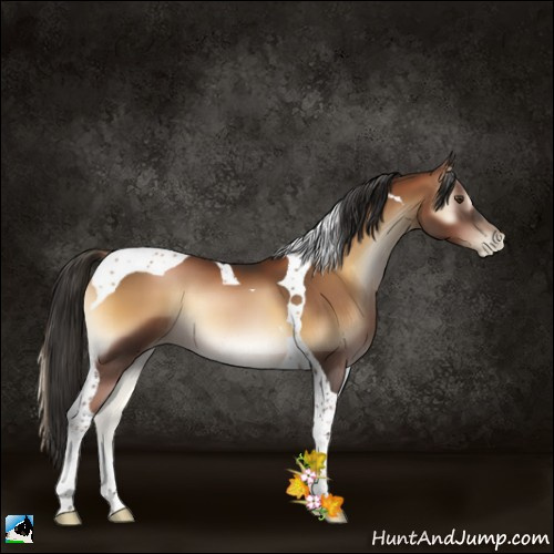 Horse Color:Gray Liver Red Onyx Pearl Tobiano 