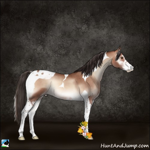 Horse Color:Sable Champagne Onyx Sabino Tobiano 