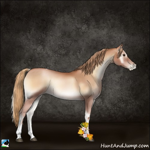 Horse Color:Red Onyx Pearl Tobiano