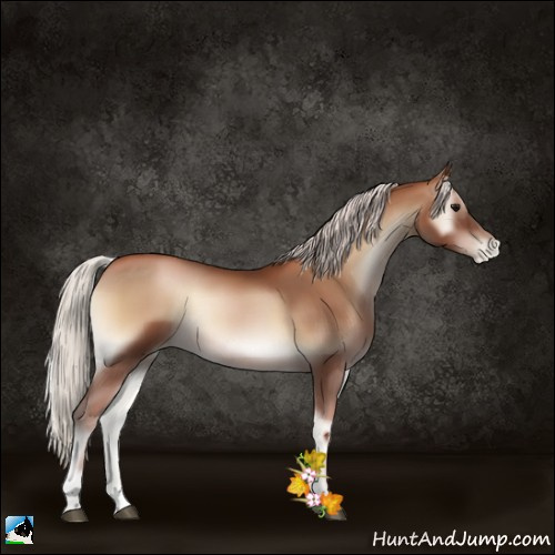 Horse Color:Silver Blue Onyx Pearl Tobiano 