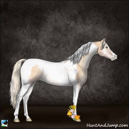 Horse Color:Palomino Pearl Onyx Tobiano