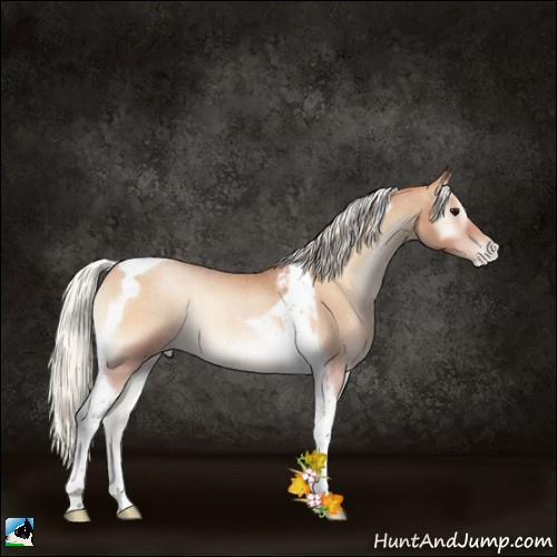 Horse Color:Silver Blue Onyx Roan Pearl Tobiano 