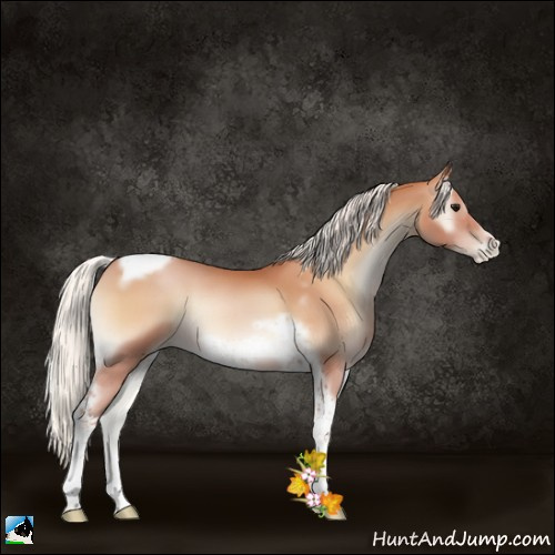 Horse Color:Silver Blue Onyx Pearl Tobiano Frame 
