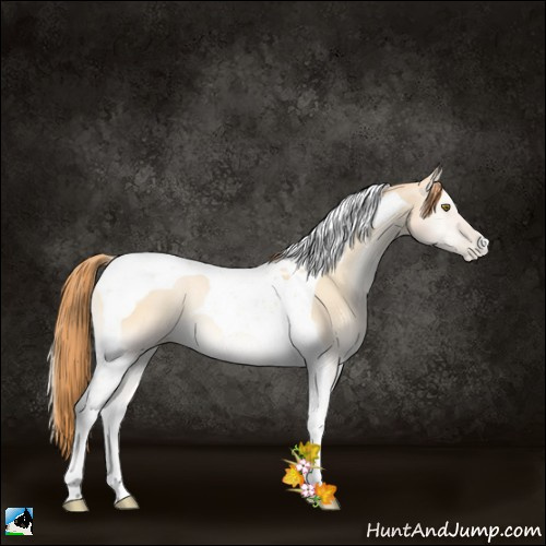 Horse Color:Smoky Grullo Pearl Onyx Tobiano 