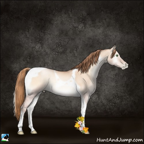 Horse Color:Gold Champagne Pearl Onyx Tobiano 