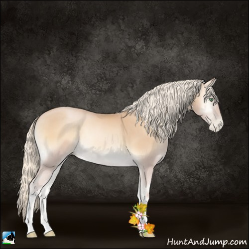 Horse Color:Palomino Pearl Onyx Tobiano 