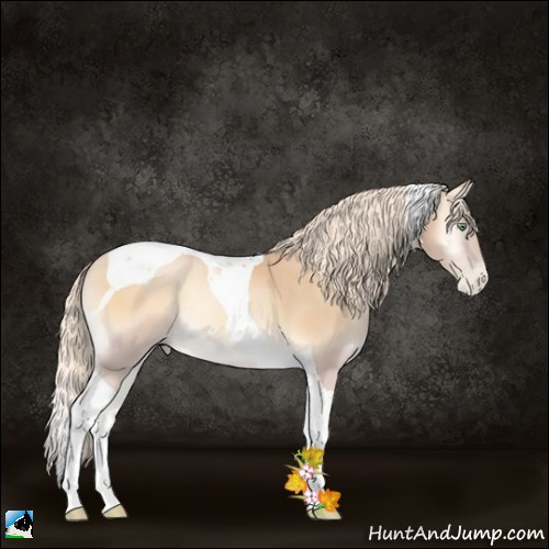 Horse Color:Palomino Pearl Onyx Tobiano 