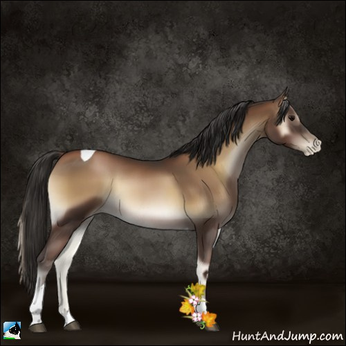 Horse Color:Gray Blue Onyx Pearl Tobiano 