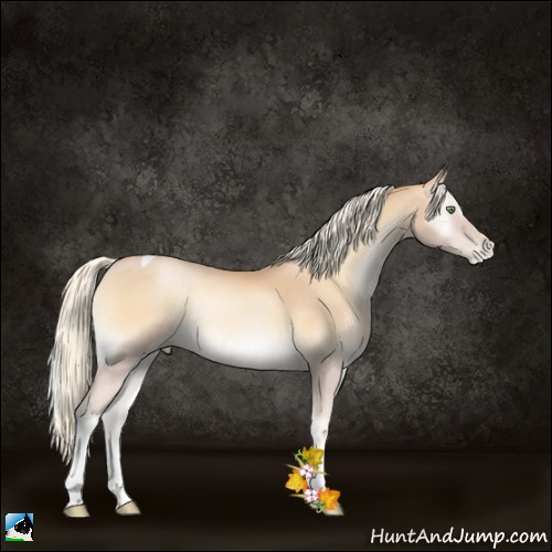 Horse Color:Palomino Pearl Onyx Tobiano 