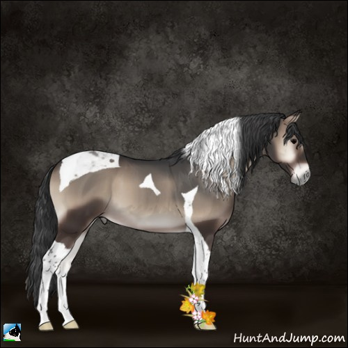 Horse Color:Blue Onyx Tobiano 