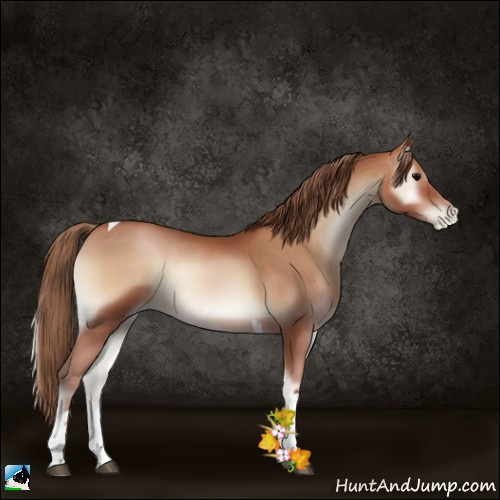 Horse Color:Blue Onyx Pearl Tobiano 