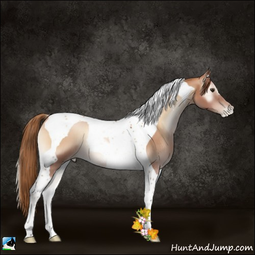 Horse Color:Red Onyx Pearl Tobiano 