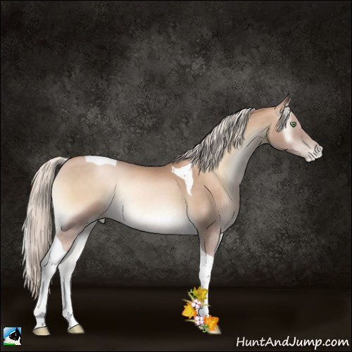 Horse Color:Chocolate Palomino Pearl Onyx Tobiano 