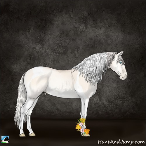 Horse Color:Silver Classic Cream Champagne Pearl Onyx Tobiano 