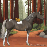 Horse Color:Silver Smoky Black Tobiano Rabicano 