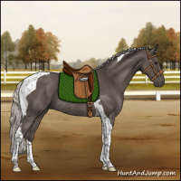 Horse Color:Silver Black Tobiano Rabicano