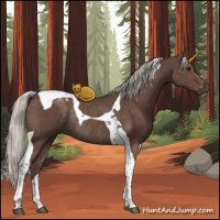 Horse Color:Silver Black Tobiano Rabicano 