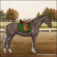 Horse Color:Silver Black Tobiano Rabicano 