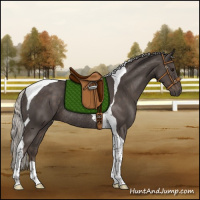 Horse Color:Silver Black Tobiano Rabicano