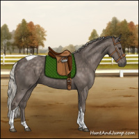 Horse Color:Silver Black Tobiano Rabicano 