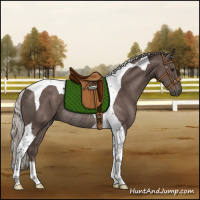 Horse Color:Silver Black Tobiano Rabicano 